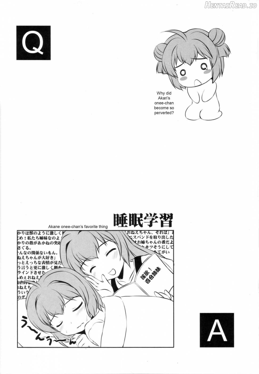 AneChuChu Dakara Oneechan to ChuChu Shiyo♪ Chapter 1 - page 21