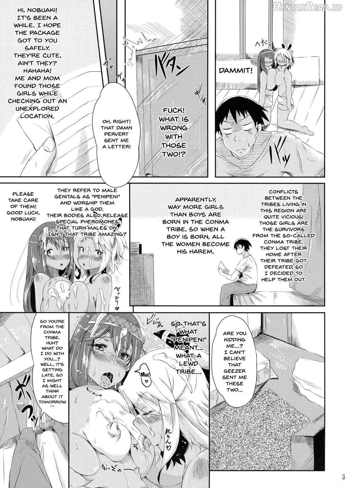 Hikyou kara no Okurimono Chapter 1 - page 9