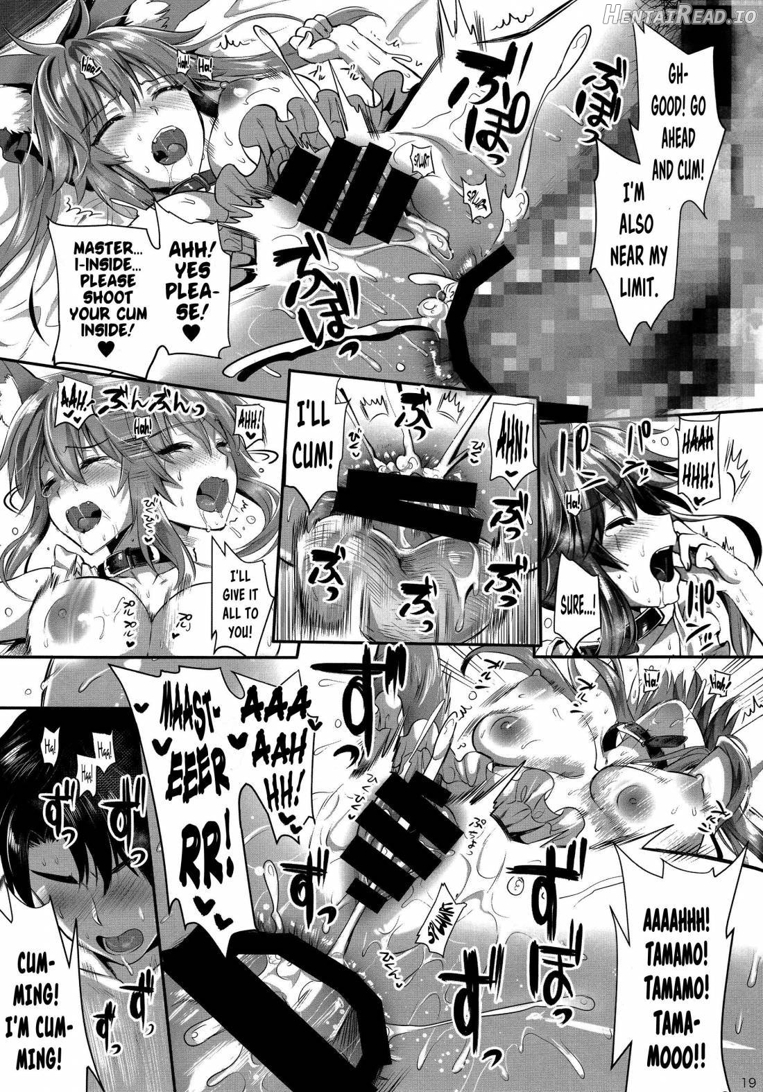 Tamamo Shitsuke ~Anal Choukyou~ Chapter 1 - page 19