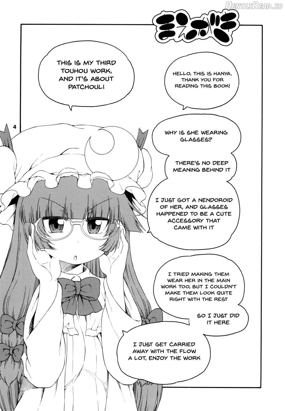 Touhou Meiko ~Patchouli Hen~ Chapter 1 - page 3