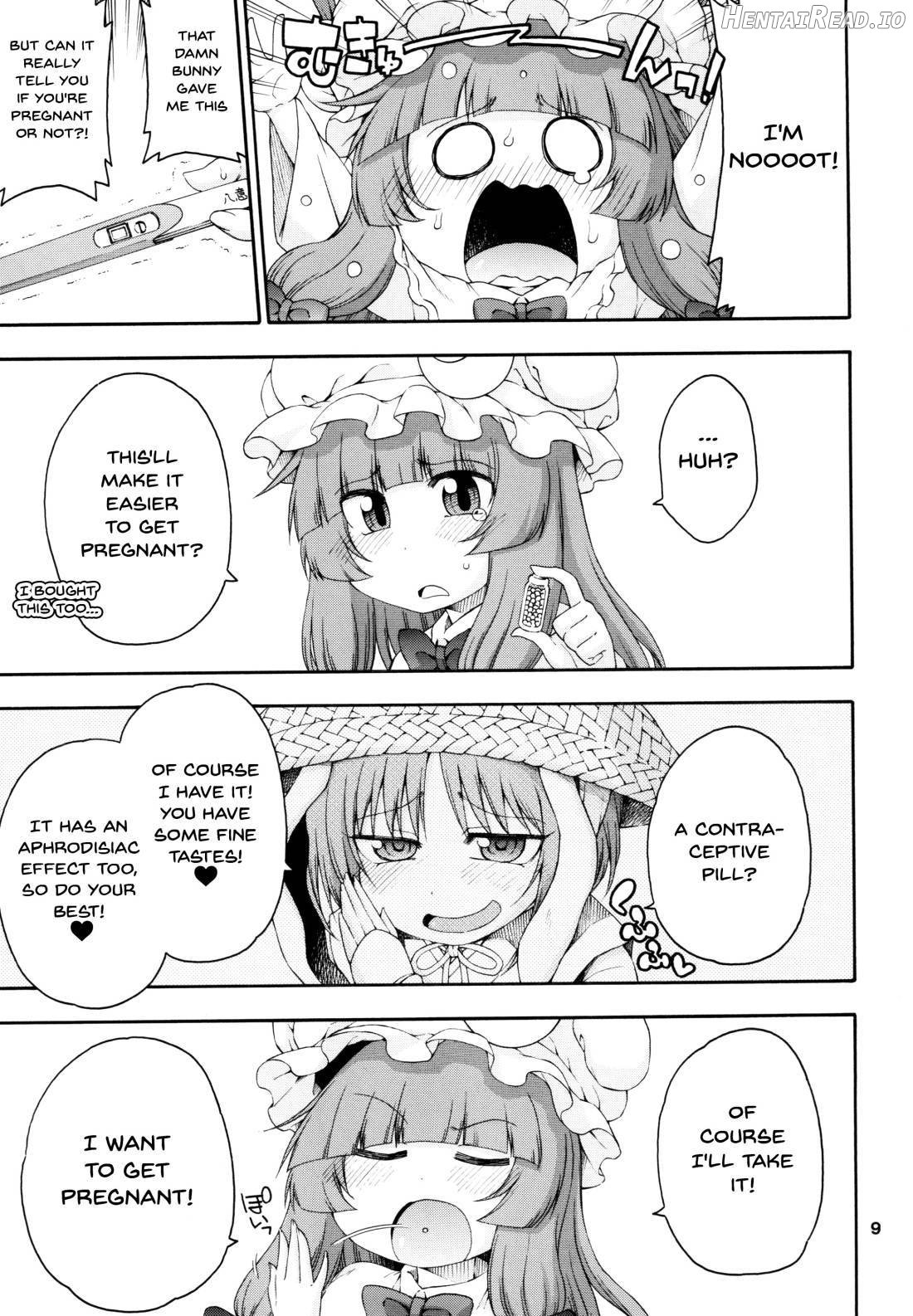 Touhou Meiko ~Patchouli Hen~ Chapter 1 - page 8