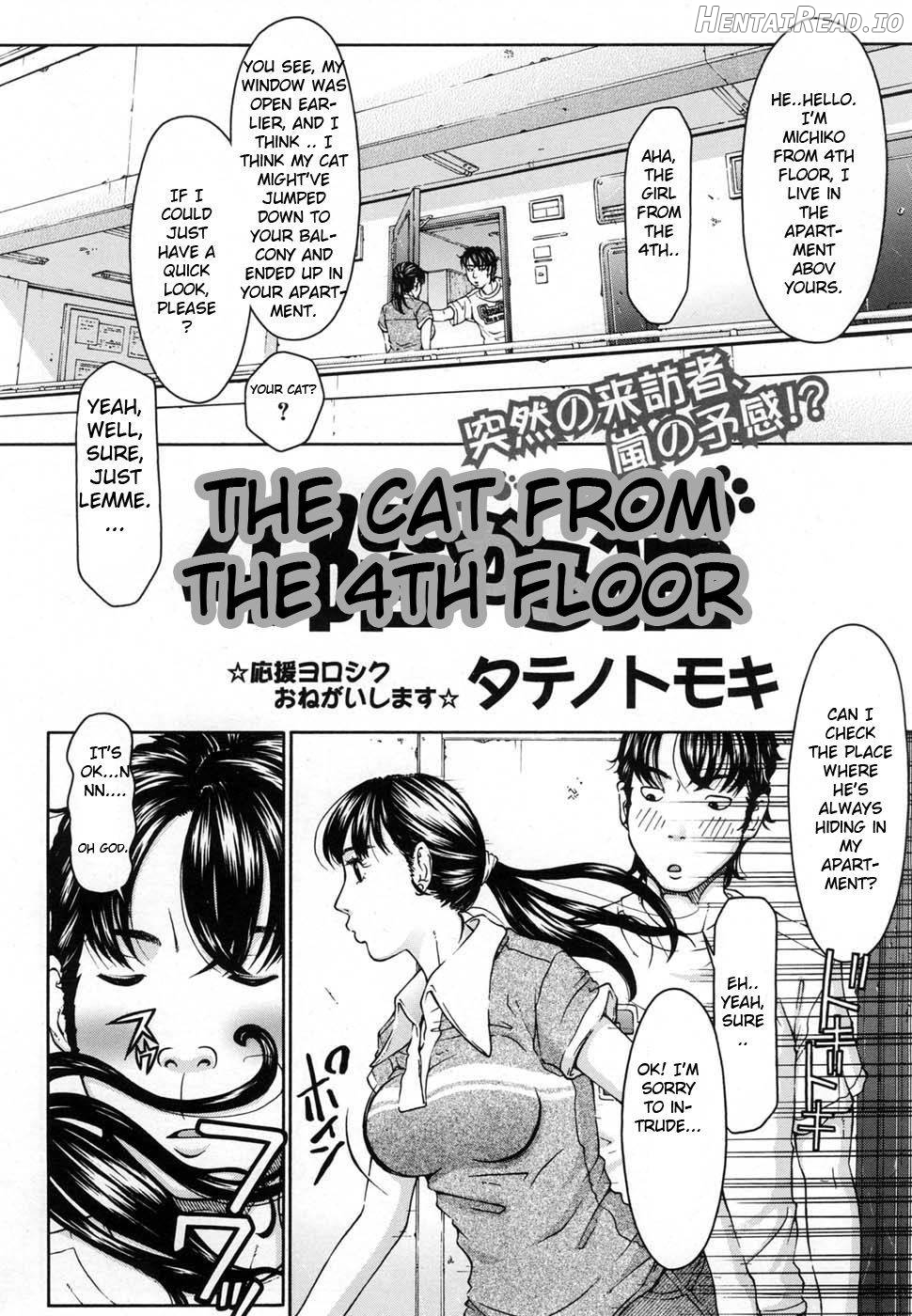 The Cat From The 4th Floor Chapter 1 - page 2