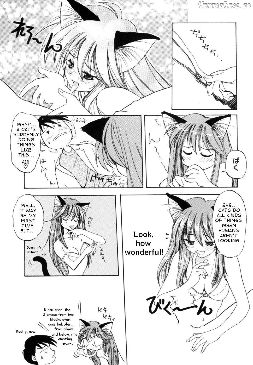 Tatatte Nyan Nyan Chapter 1 - page 12