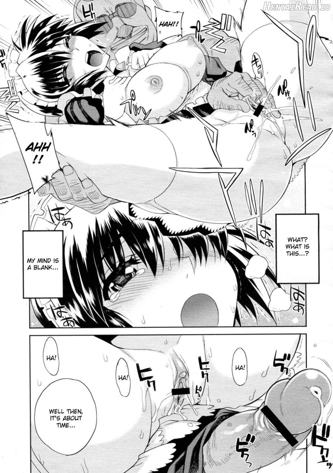 Hito-sama no Maid no Otoshikata Chapter 1 - page 11