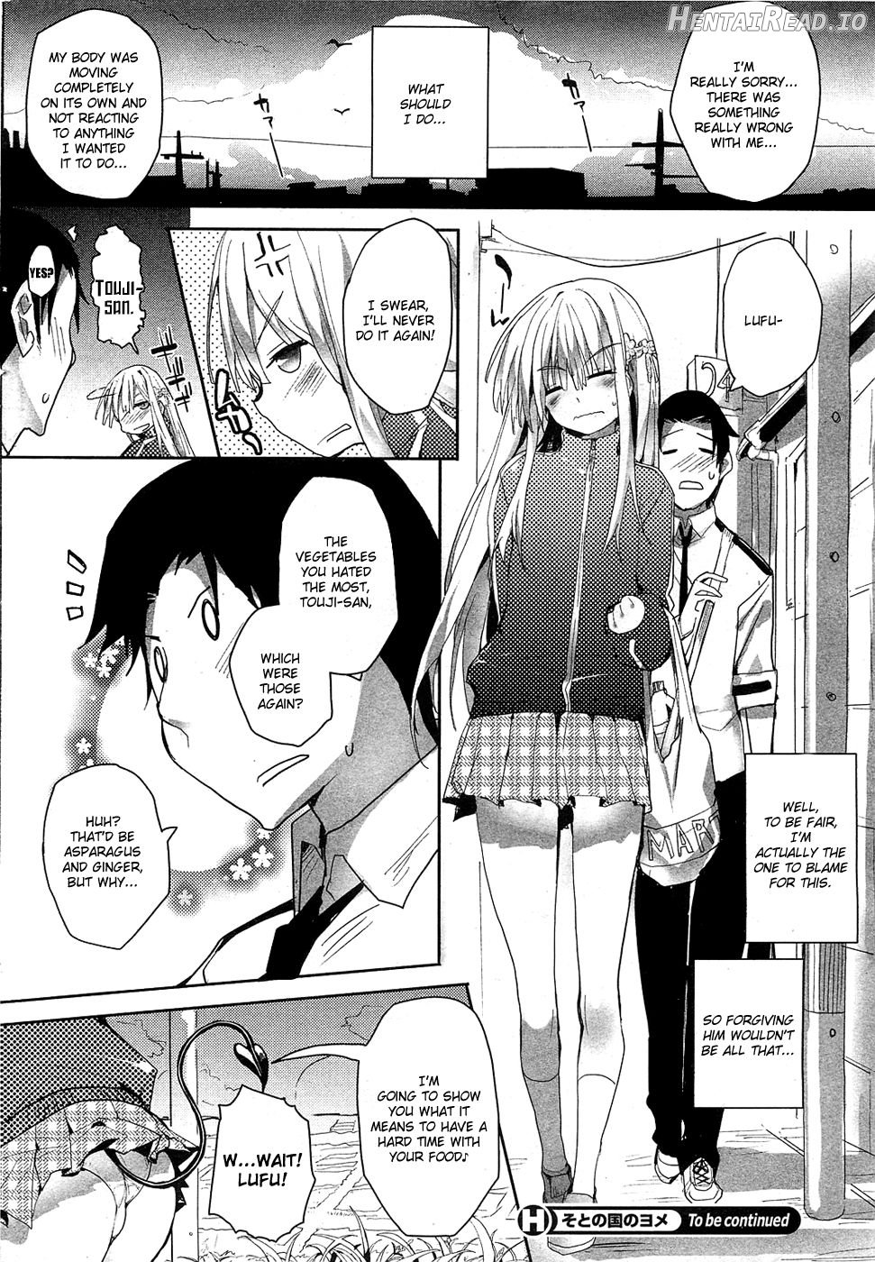 Soto no Kuni no Yome Toranoana Gentei Shousasshi Chapter 1 - page 28