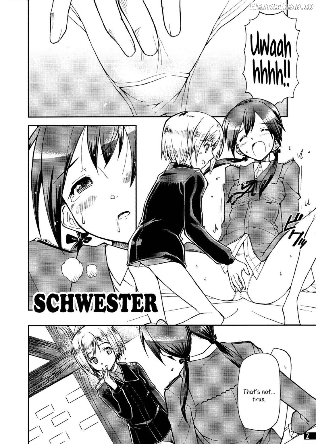 SCHWESTER Chapter 1 - page 3