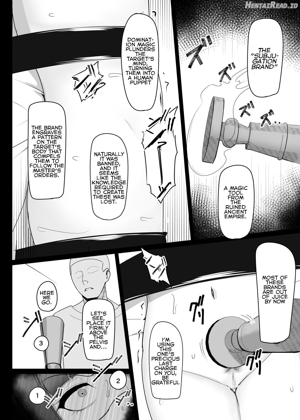 Shihai Kokuin Takabisha na Onna Majutsushi ga Shiranai Aida ni Omocha ni Sareru Chapter 1 - page 11