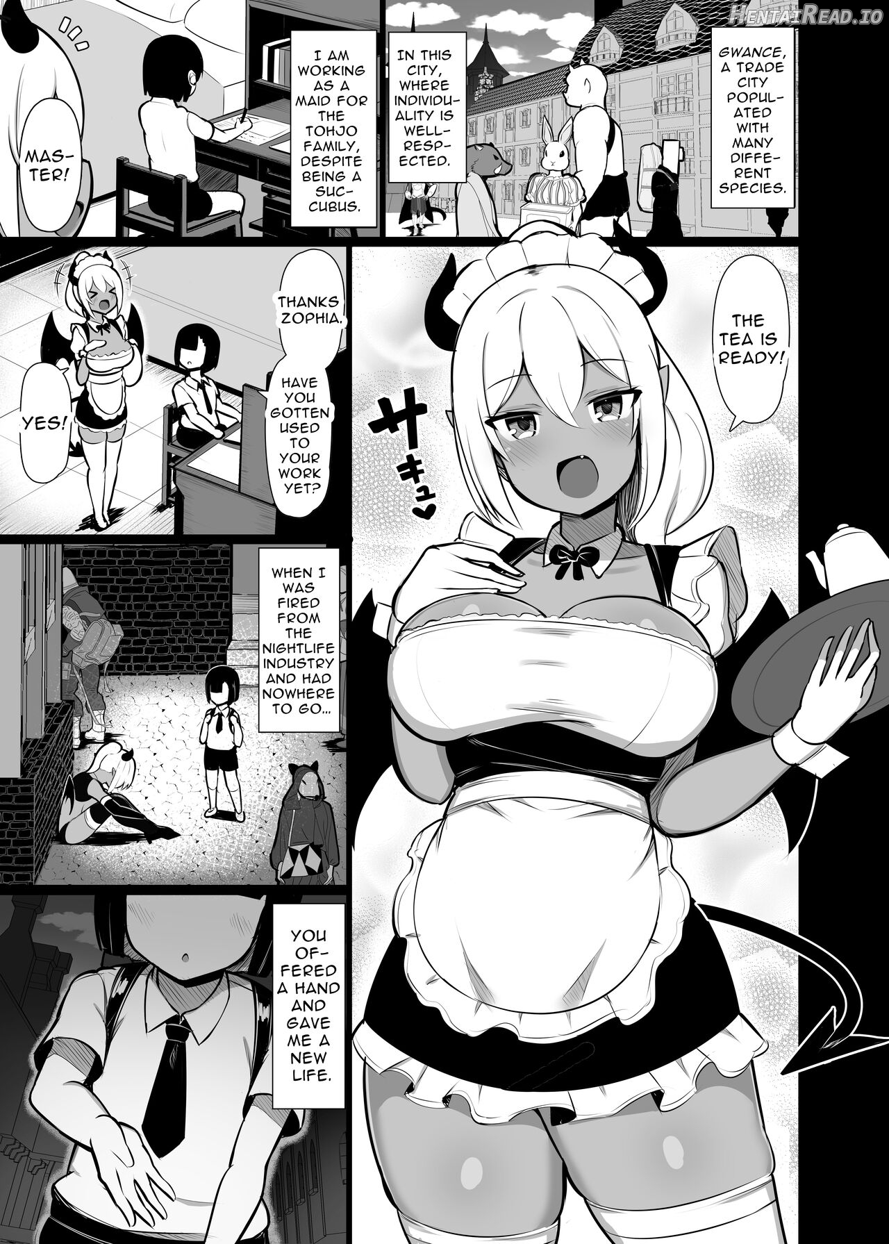 Goshujin-sama no Ochinchin wa Yuzurenai ~Succubus Maid to Nukirobo Maid~ Chapter 1 - page 2