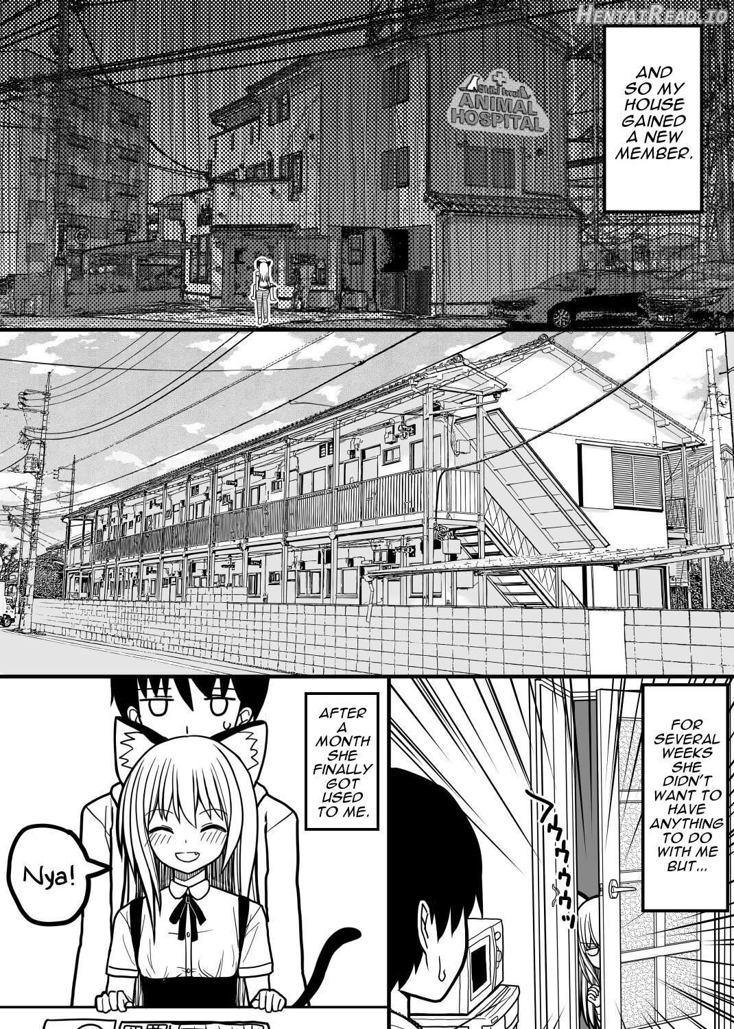 Hito neko no kaikata ～Hatsujo-ki-hen～ Chapter 1 - page 4