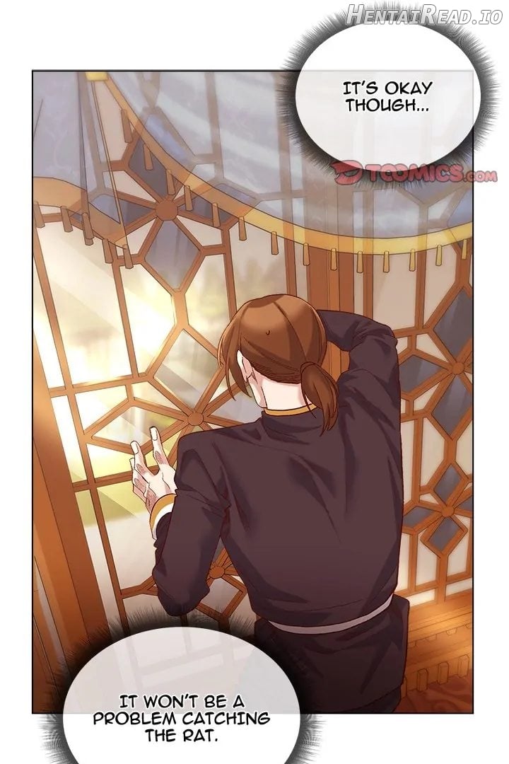 I Will Protect the Lady Chapter 10 - page 54